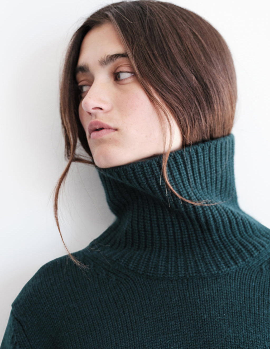 Cozy Cashmere Blend Turtleneck Sweater in Rainforest