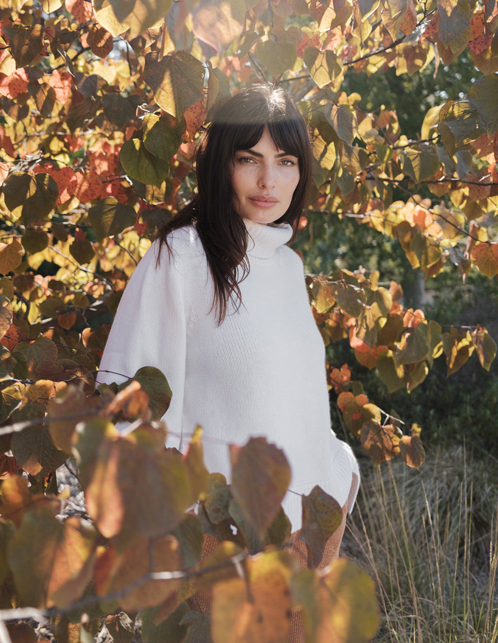 Cozy Cashmere Blend Turtleneck Sweater in Cream