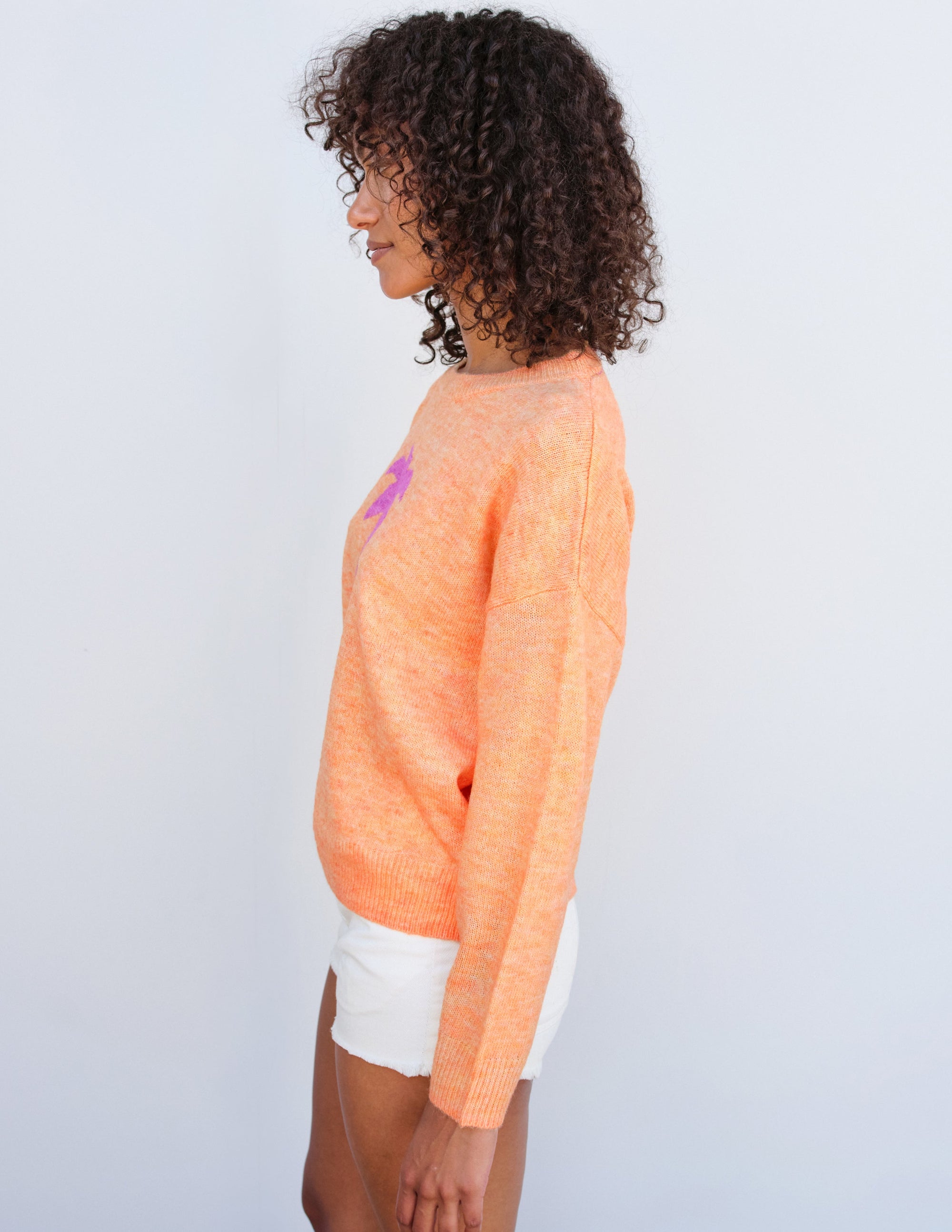 Palm Tree Oversized Sweater in Sorbet